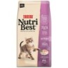 Ração para gato picart nutribest cat kitten
