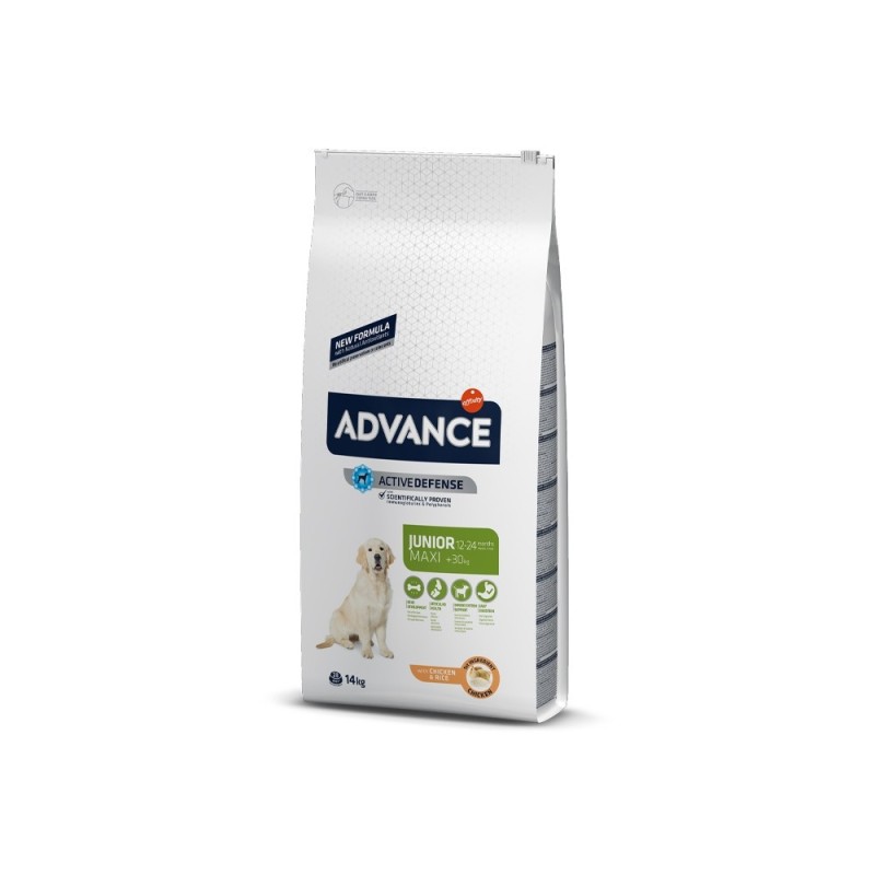 Ração para cão advance dog maxi junior chicken & rice