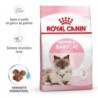 Ração para gato royal canin mother & babycat