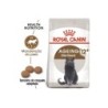 Ração para gato royal canin ageing 12+ sterilised