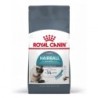 Ração para gato royal canin hairball care