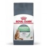 Ração para gato royal canin digestive care