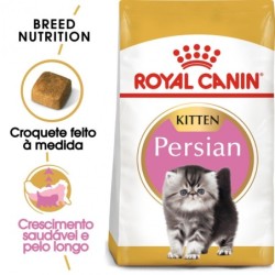 Ração para gato royal canin kitten persian