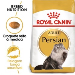 Ração para gato royal canin persian