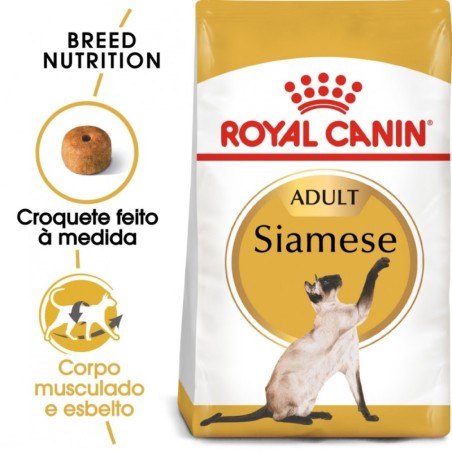 Ração para gato royal canin siamese