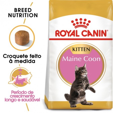 Ração para gato royal canin kitten maine coon