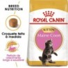 Ração para gato royal canin kitten maine coon
