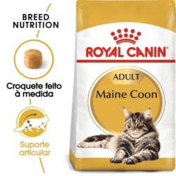 Ração para gato royal canin maine coon