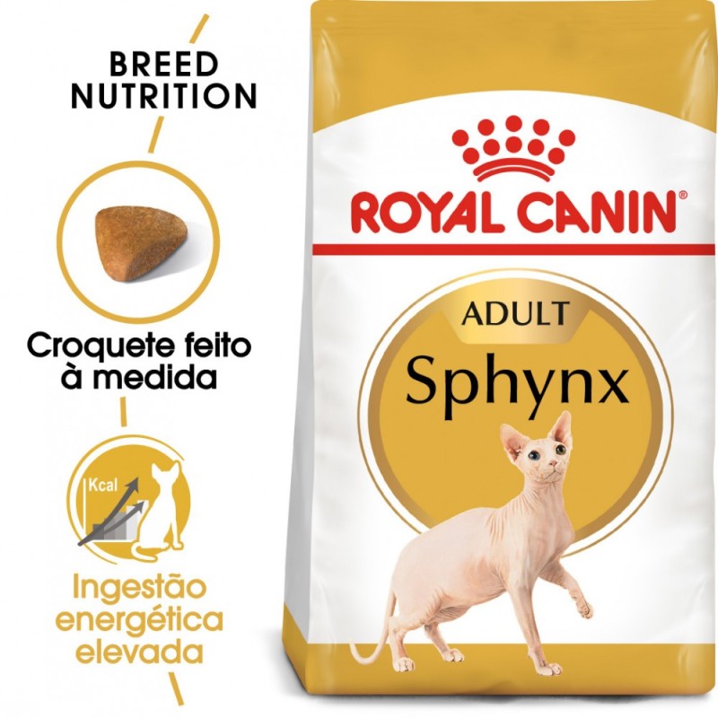 Ração para gato royal canin sphynx