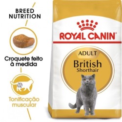 Ração para gato royal canin british shorthair