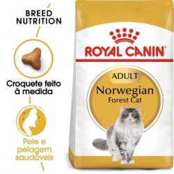 Ração para gato royal canin norwegian forest cat
