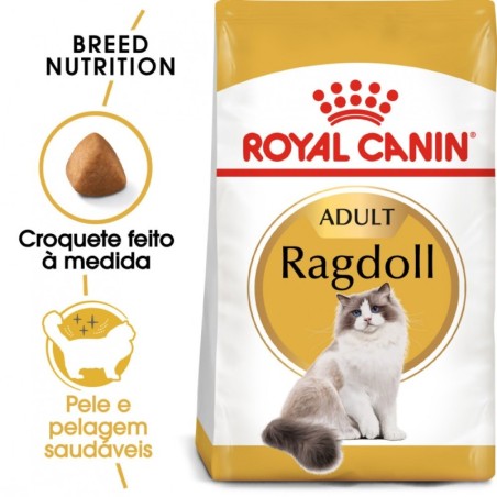 Ração para gato royal canin ragdoll