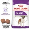 Ração para cão royal canin giant adult