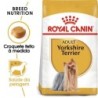Ração para cão royal canin yorkshire terrier adult