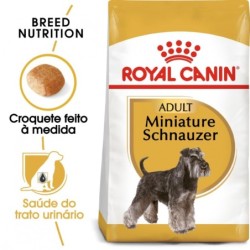 Ração para cão royal canin miniature schnauzer adult