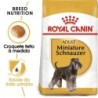Ração para cão royal canin miniature schnauzer adult