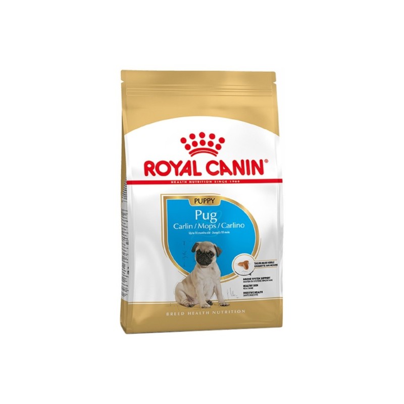 Ração para cão royal canin pug puppy