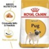 Ração para cão royal canin pug adult