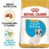 Ração para cão royal canin french bulldog adult