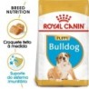 Ração para cão royal canin bulldog adult