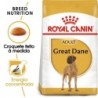 Ração para cão royal canin great dane adult