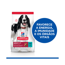 Ração para cão hill´s science plan canine adult medium atún & arroz