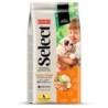 Ração para cão picart select puppy medium chicken and rice
